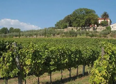 Sleeps 2 Pool Air Con * Castelnuovo Magra